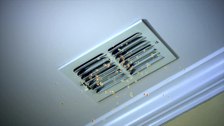 Professional Airduct Cleaning in MT