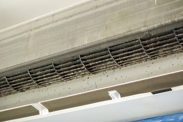 Best Ductwork Cleaning Services  in Plains, MT
